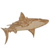 Shark wood sticker
